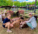 0D507A8D-8301-4D18-B099-6C216324475D